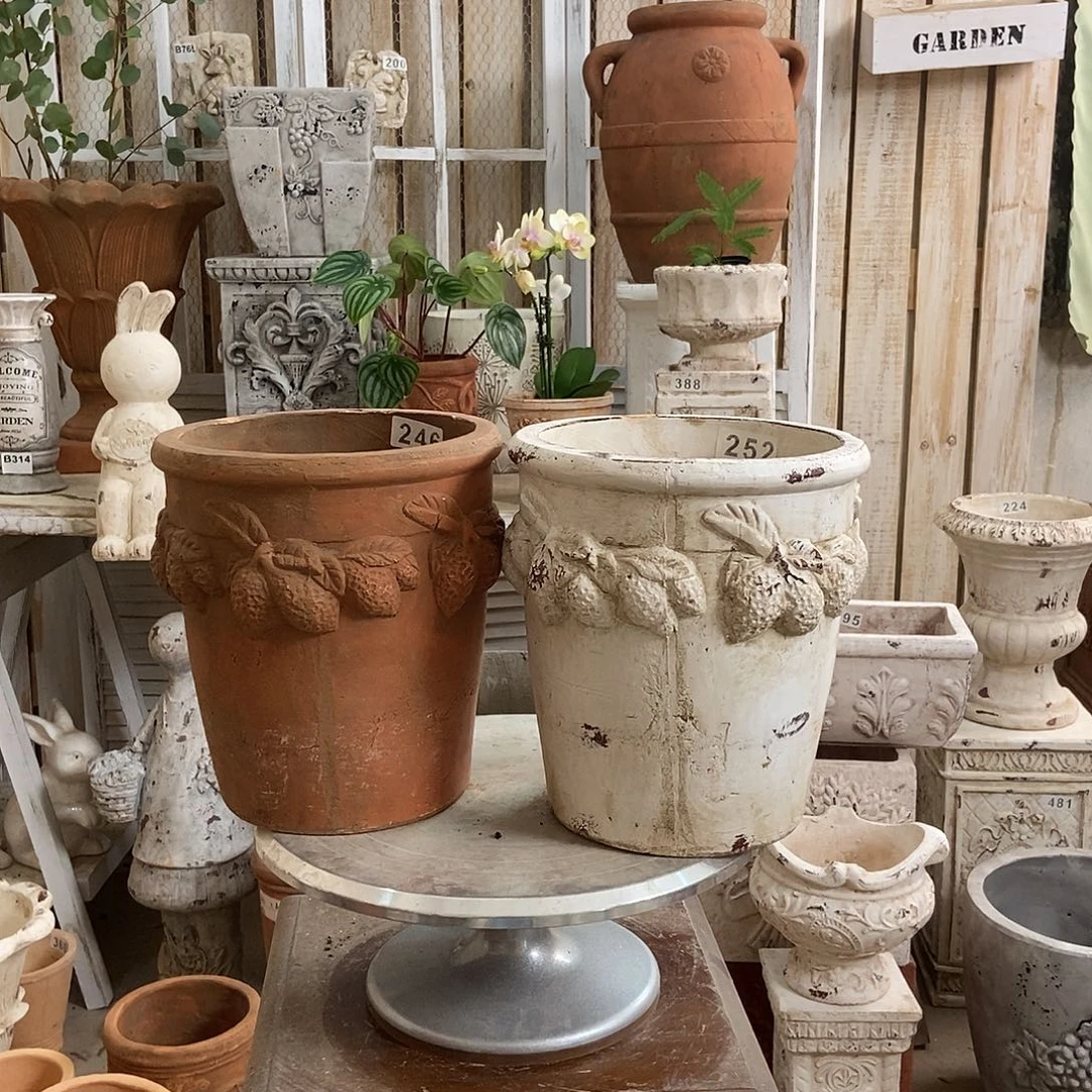 中号柠檬颜色备注