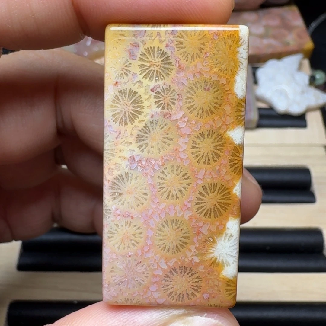 未镶嵌纯天然色有机玉石保真色硅化玉