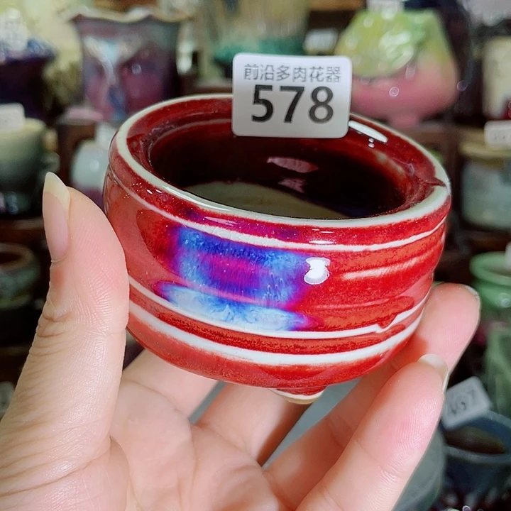 狼盆内口径6高度5