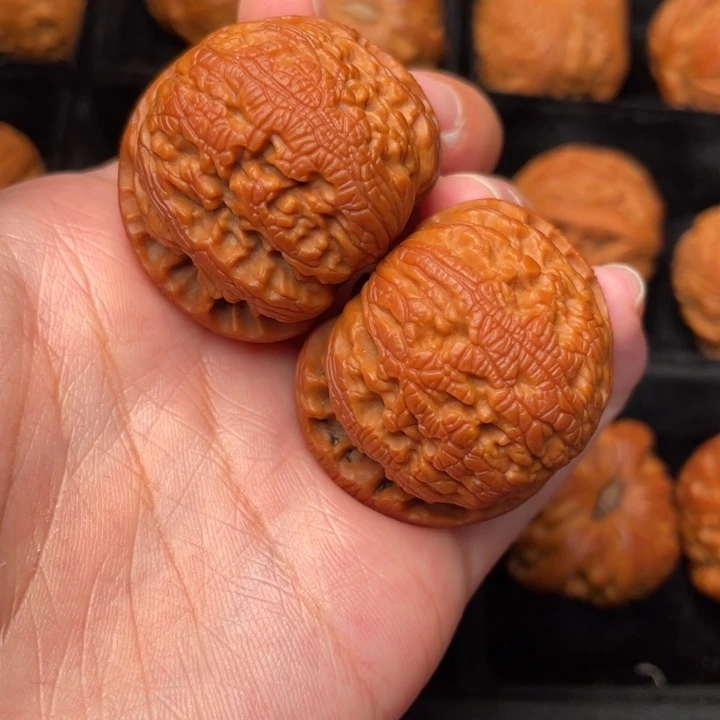 秦岭野生核桃文玩