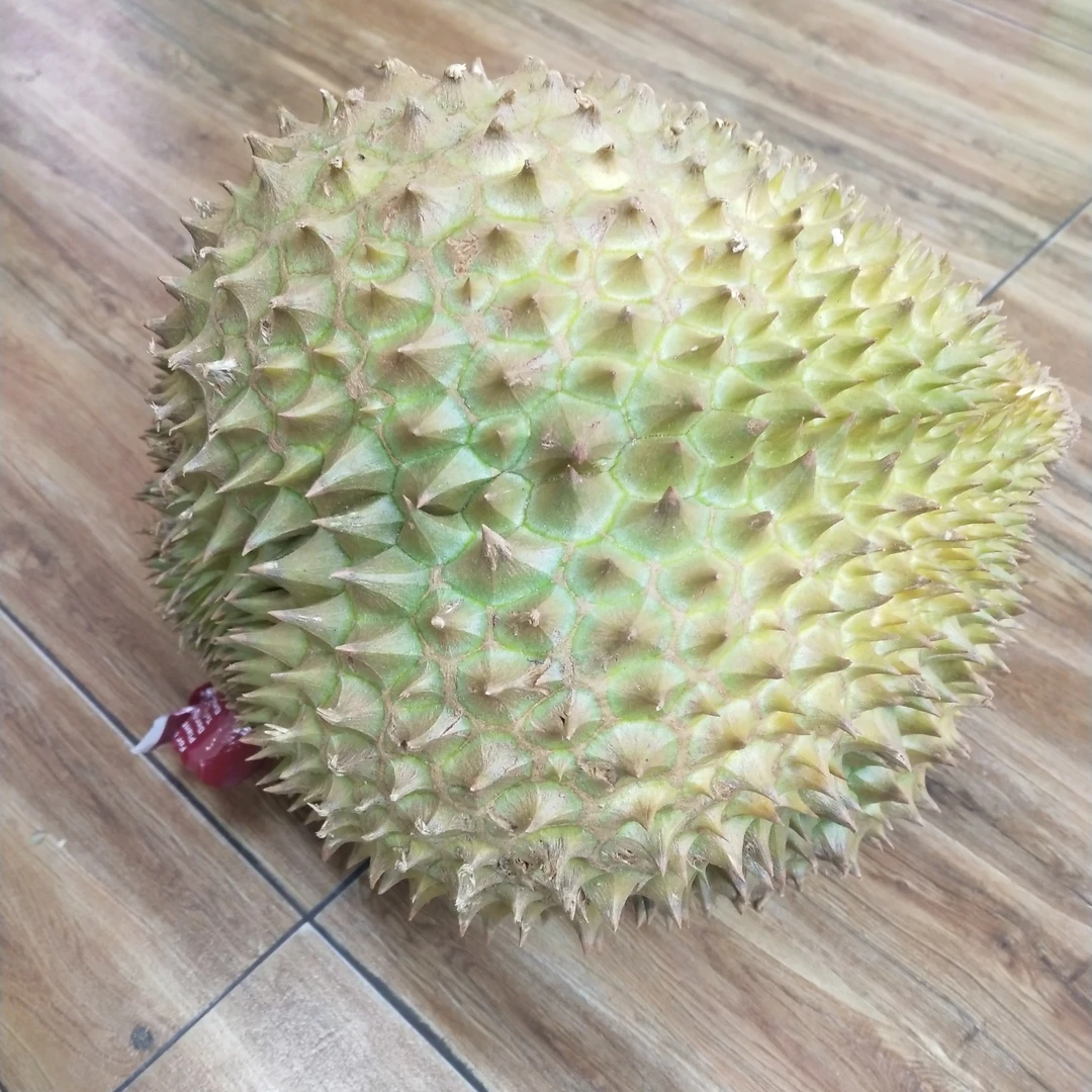 树熟金枕榴莲4.2kg/个