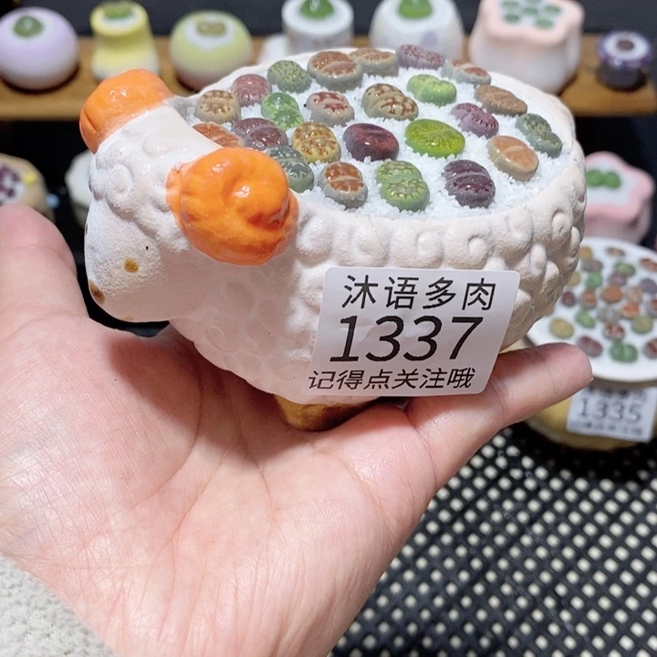 带盆土植物 一物一拍 1337