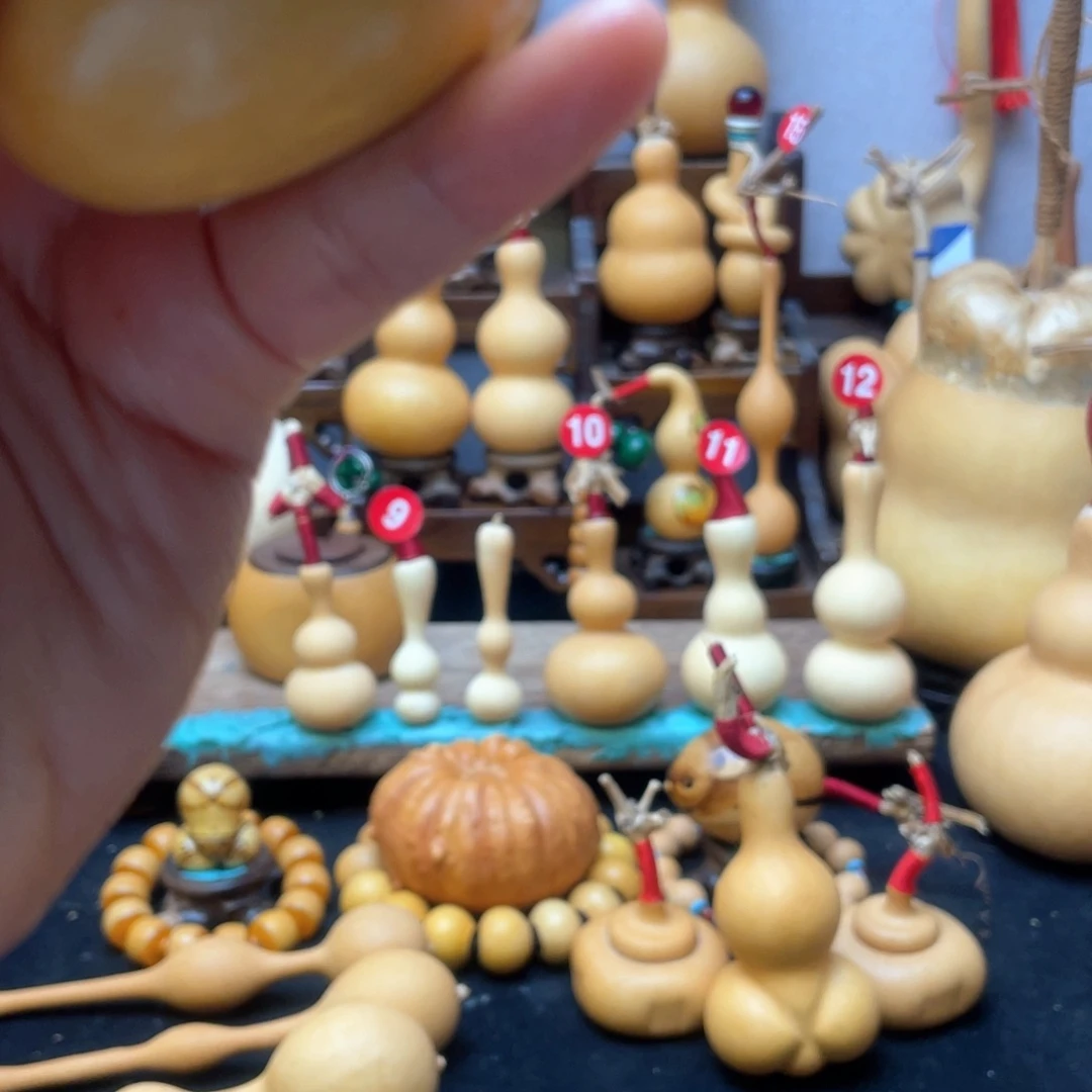 小****7大自然的秘密第十一节的