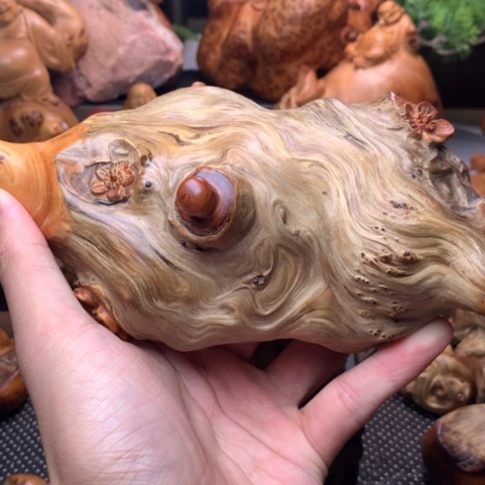 柏木（崖柏）崖柏陈化