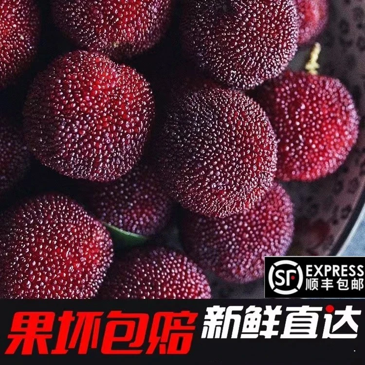 【顺丰空运】正宗东魁杨梅酸甜多汁当季新鲜水果产地直发孕妇水果