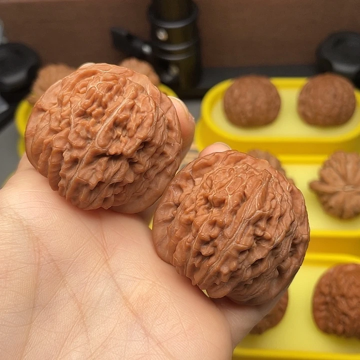 四座楼44全品红皮