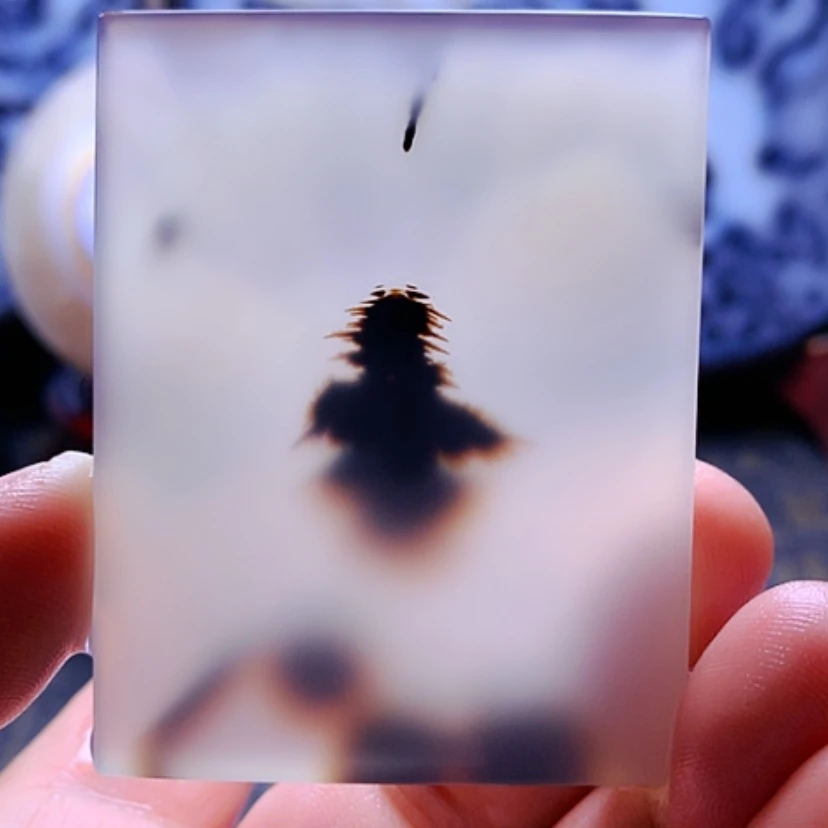 【闪购商品】玛瑙/玉髓颈饰未镶嵌