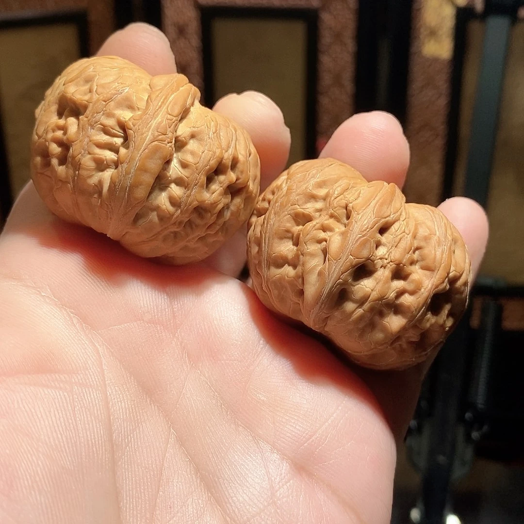 文玩核桃把件44平谷元宝全品