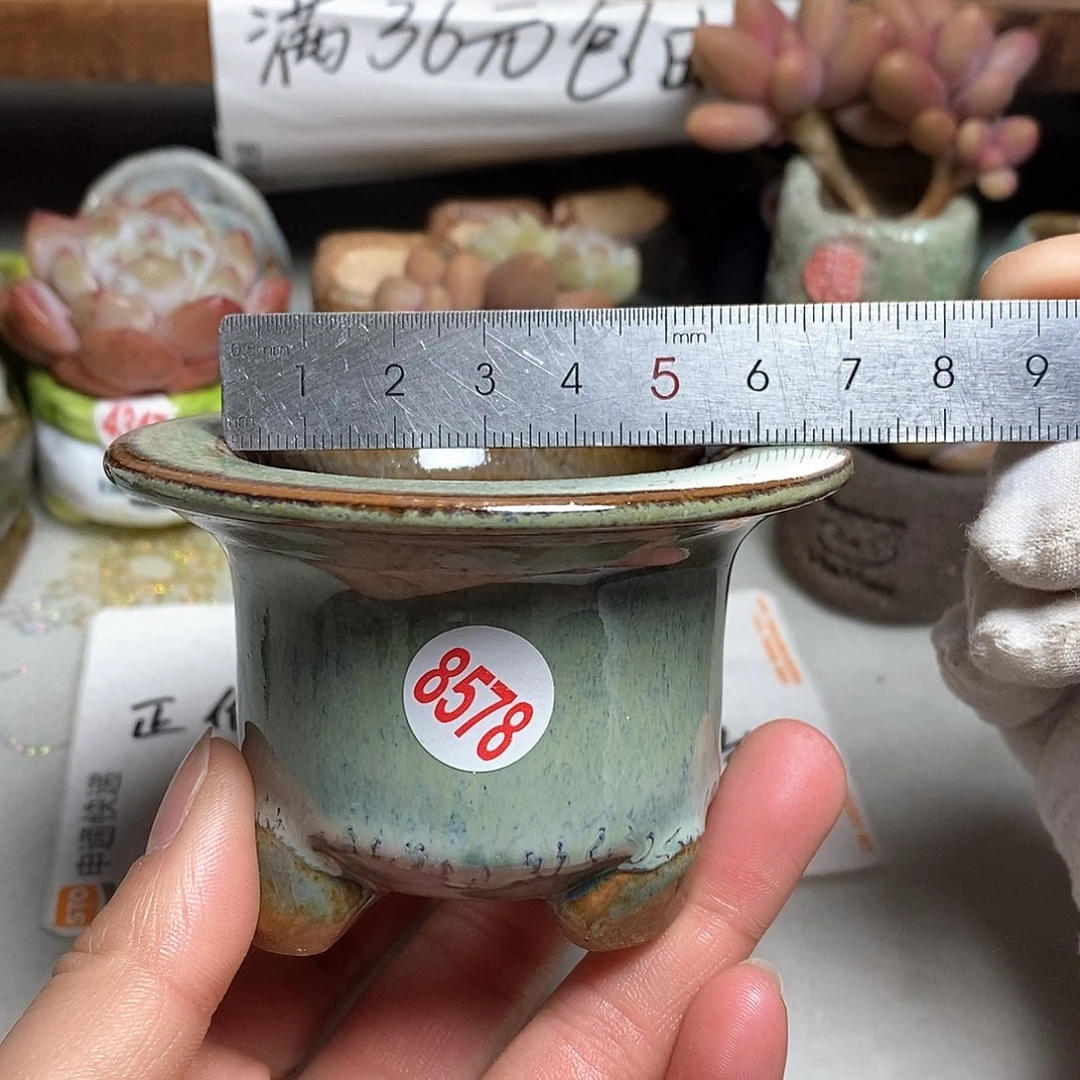 红陶拍5送一个小