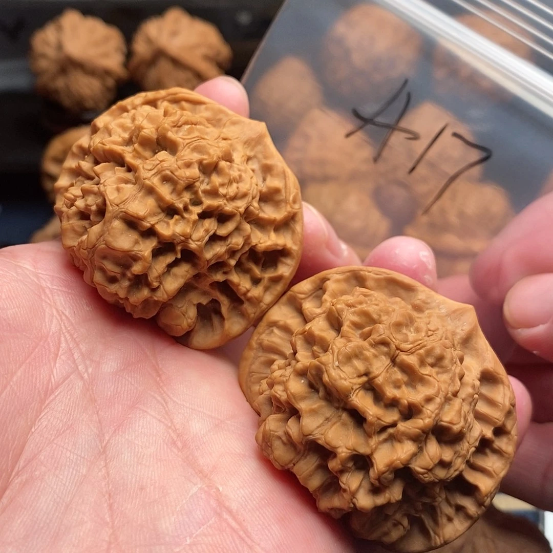 文玩核桃把件吃****有49官帽