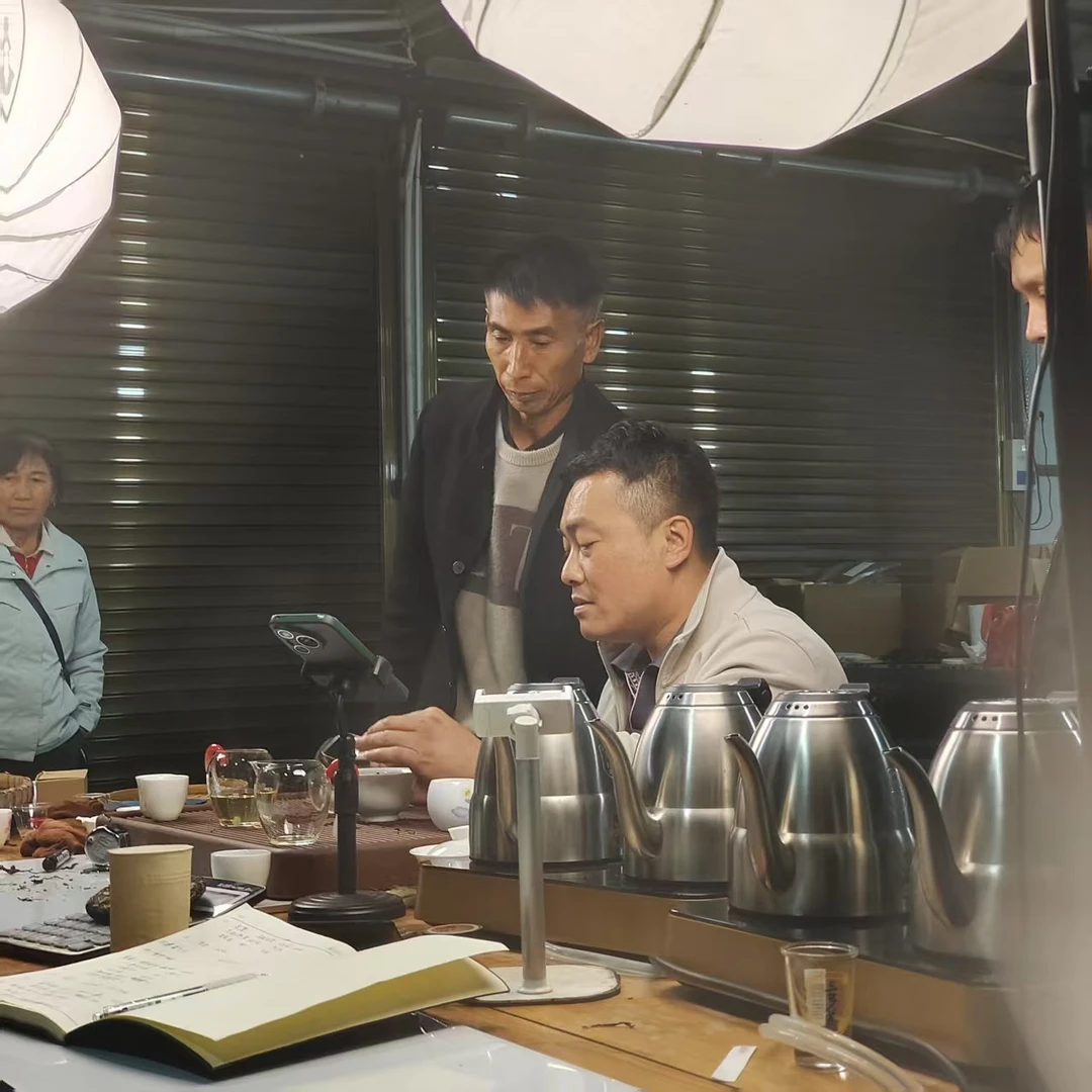 品宣（2.15）2024年  头春 小荒田古树散茶  100克/包配茶样  130号