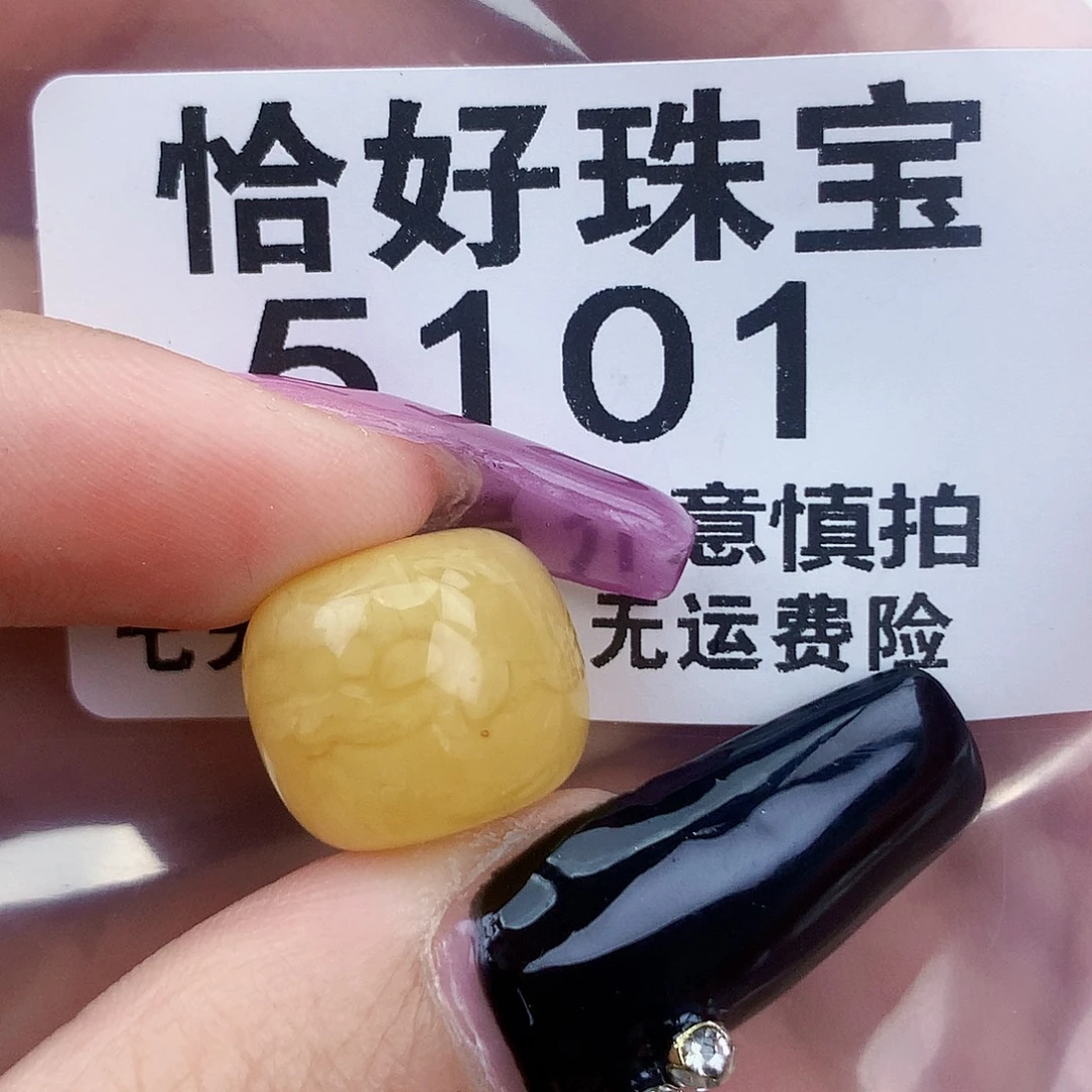 琥珀未镶嵌珠宝奇石14.6×12.6植物