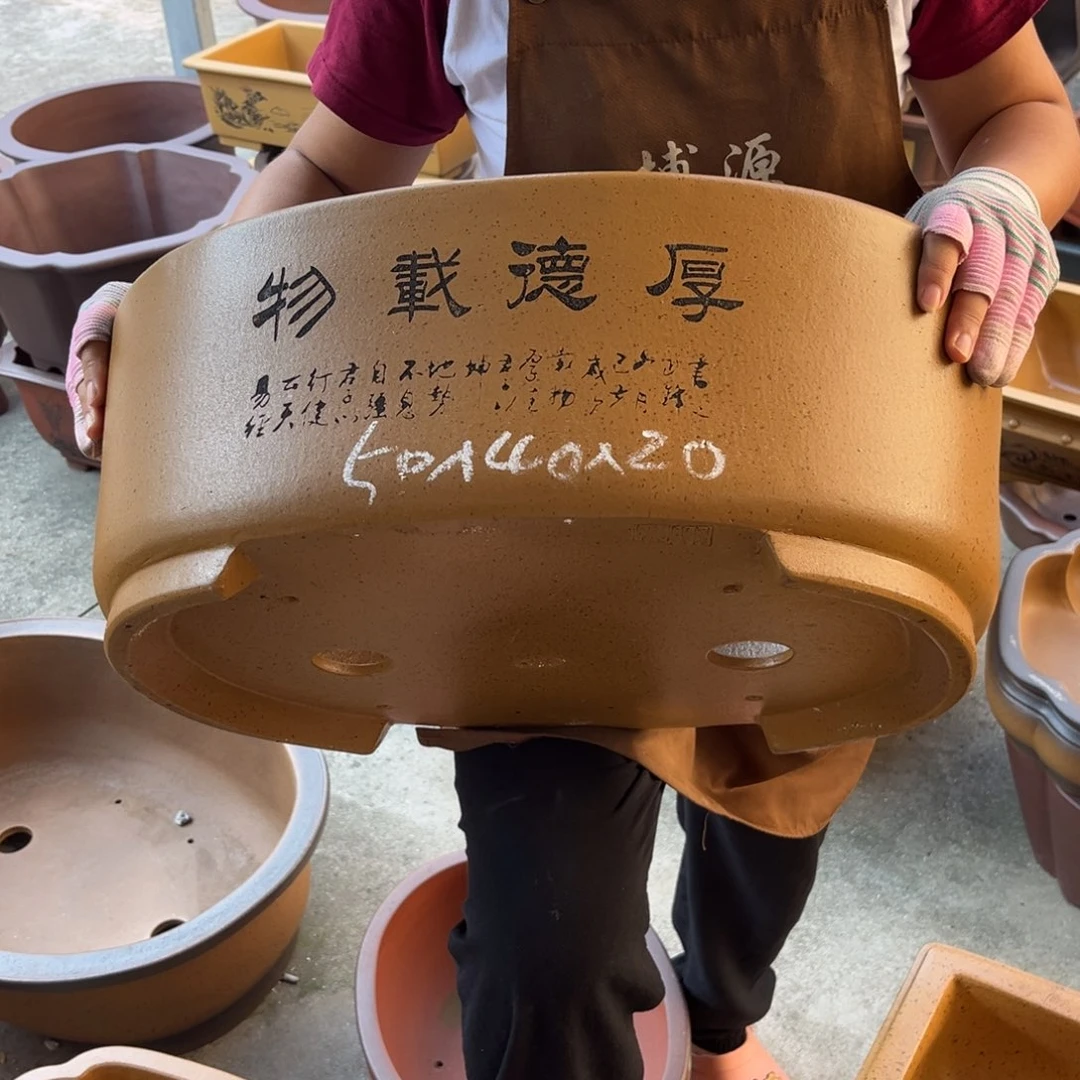 紫砂花盆盆景艺术