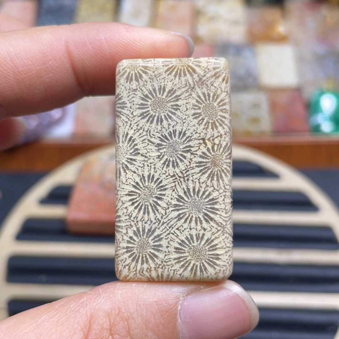 硅化玉未镶嵌颈饰k30