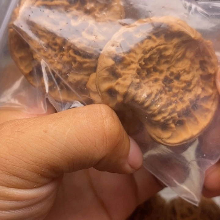 文玩核桃把件贪***子蛇王