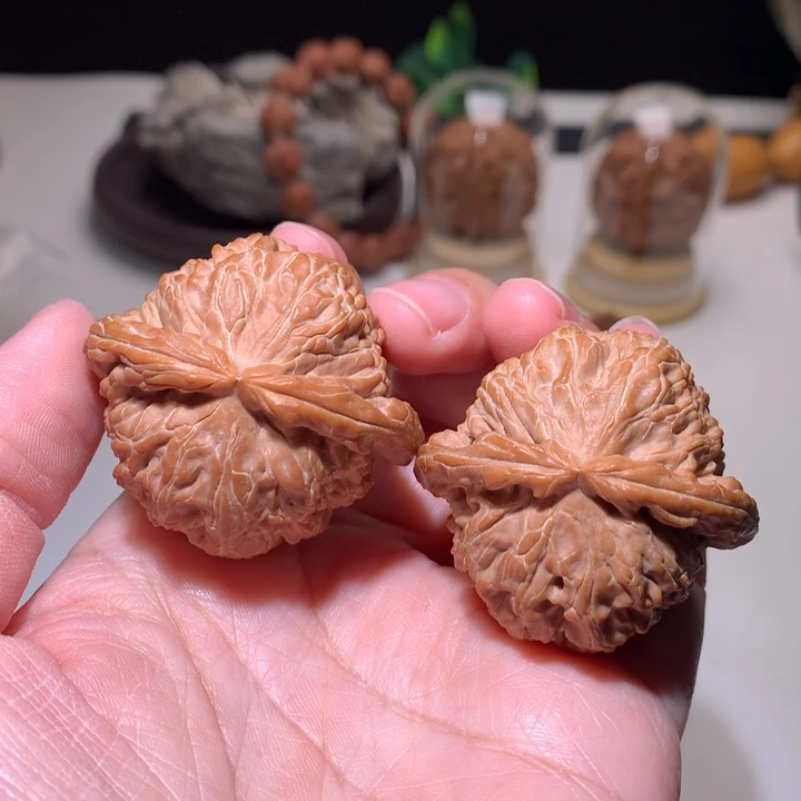 文玩核桃把件白狮子