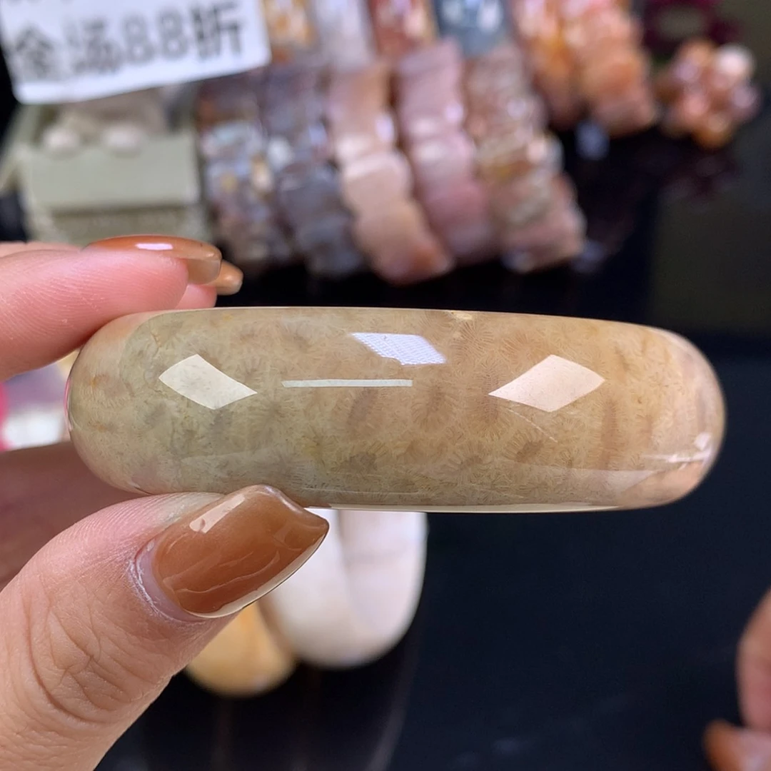 【闪购商品】颈饰未镶嵌硅化珊瑚（珊瑚玉）糖冰虫54.7（54号）