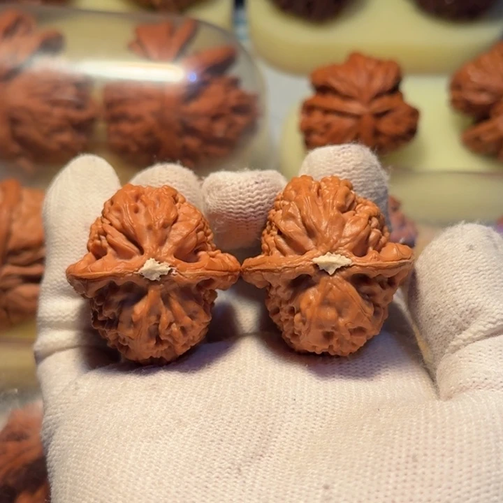 ****白文玩核桃吊坠红莲山一代