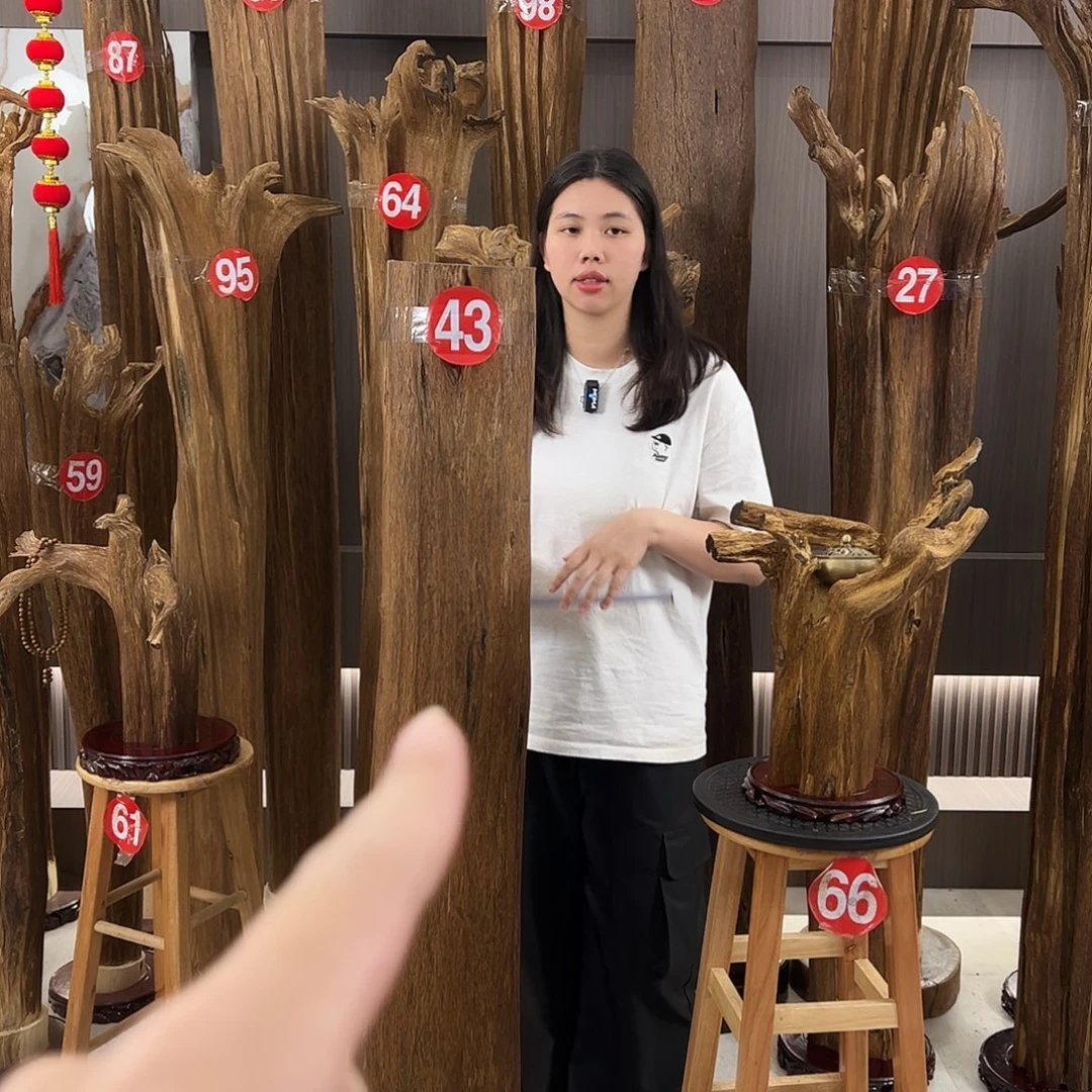 贾***冲沉香碎屑沉香天然沉香