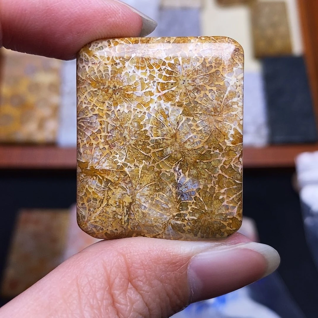 硅化玉珠宝奇石合金光****名