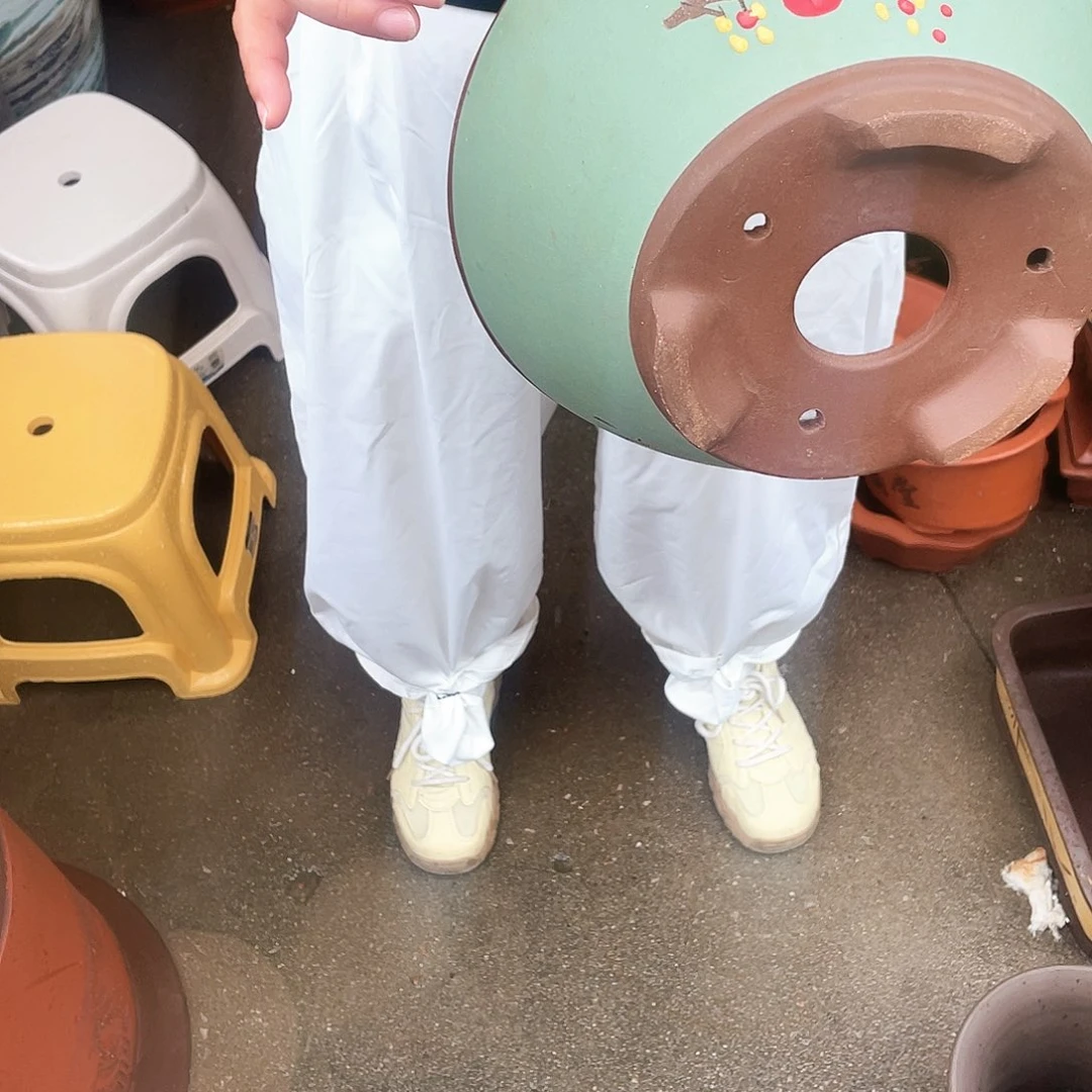 绿斗盆点菜小花盆紫砂花盆紫砂
