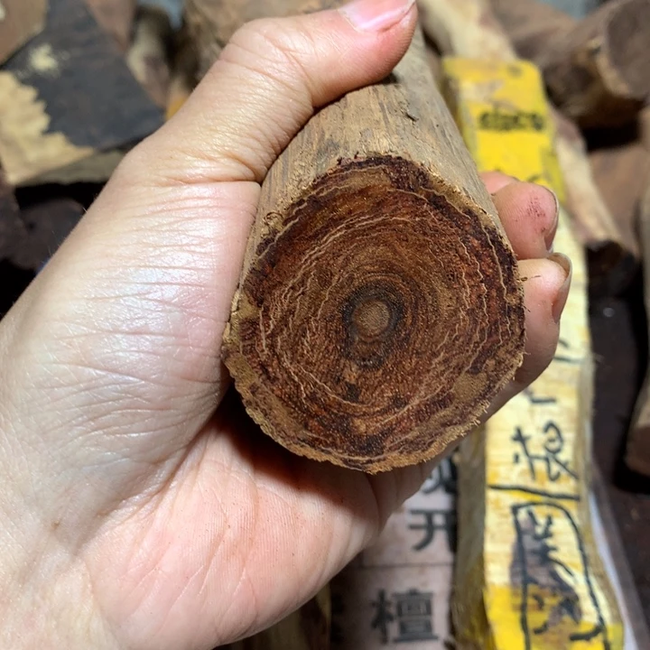 藤类小*大叶降真香