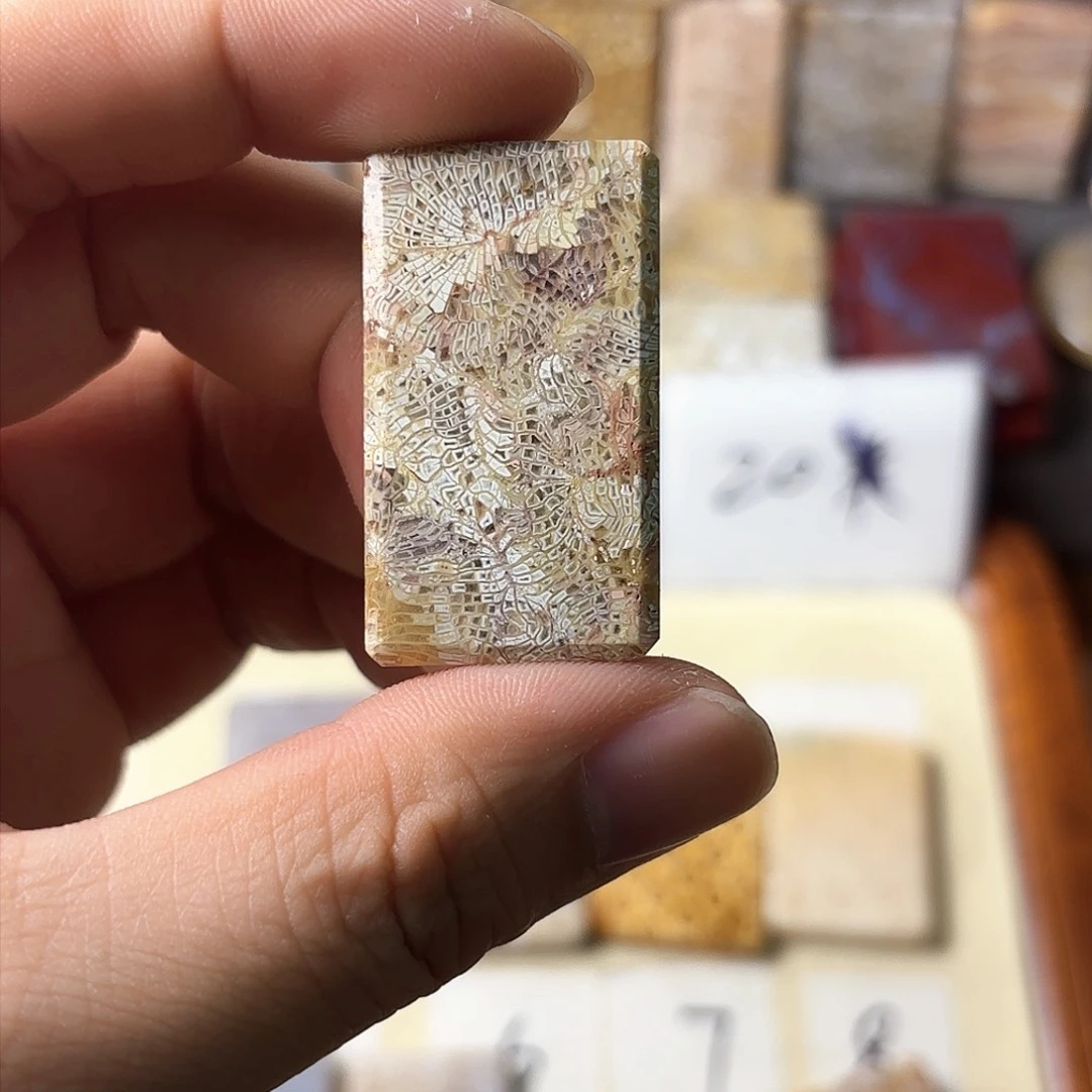 硅化玉颈饰未镶嵌暮****=