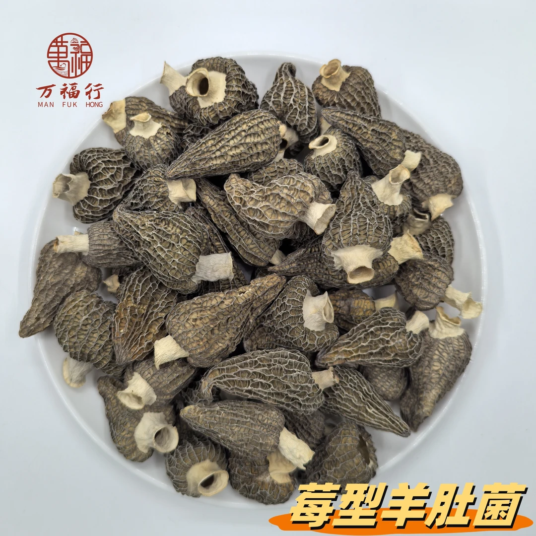 W【莹莹精选】大只莓形羊肚菌 肉质肥厚 鲜香浓郁