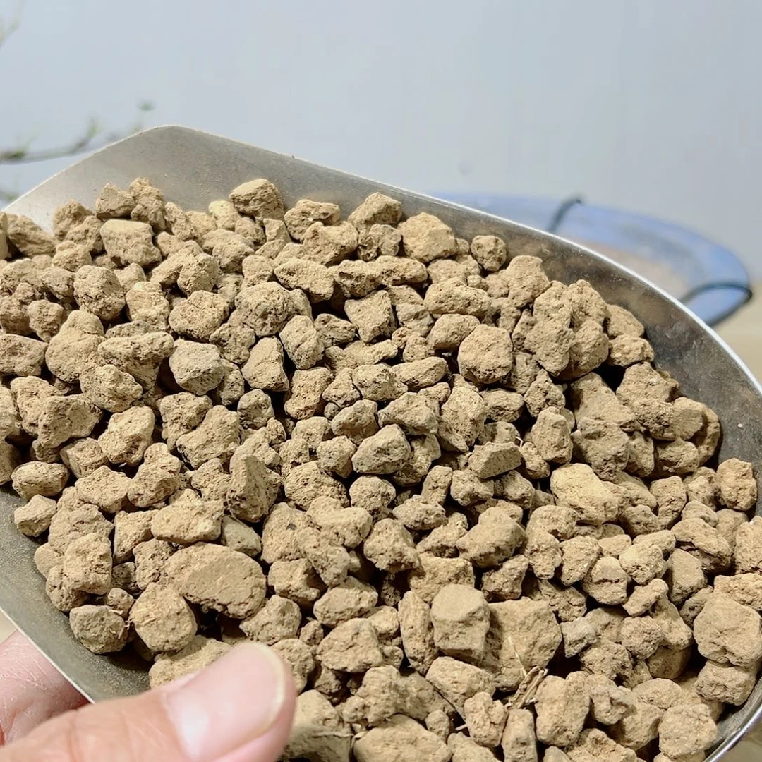 无花朵盆景赤玉土3本6到9