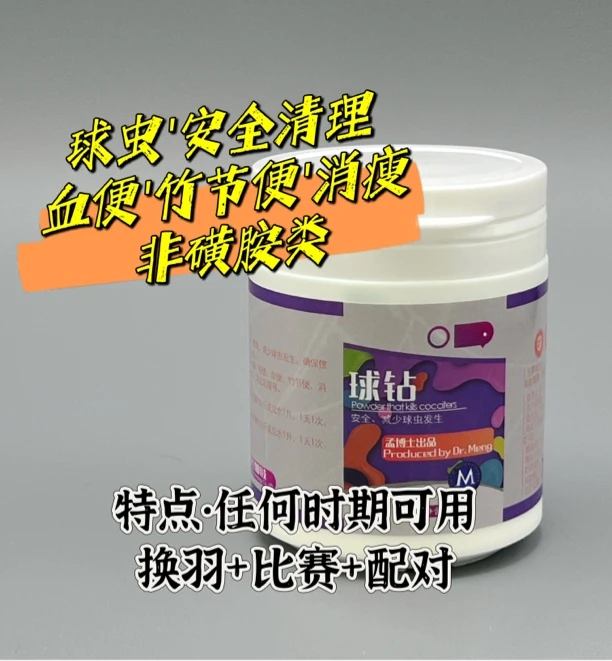 球钻/孟博士信鸽
