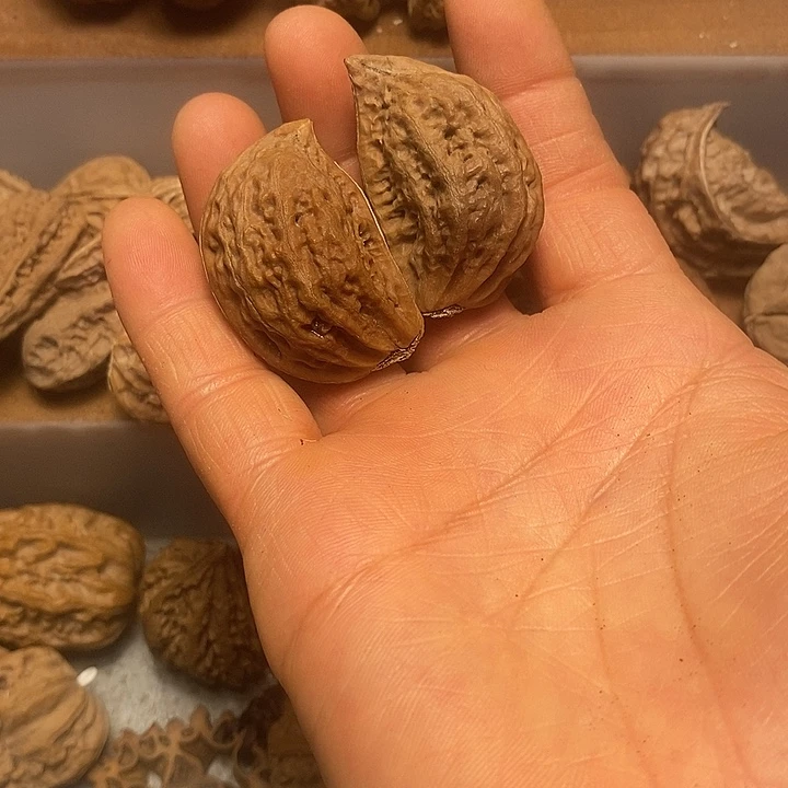 文玩核桃吊坠不错