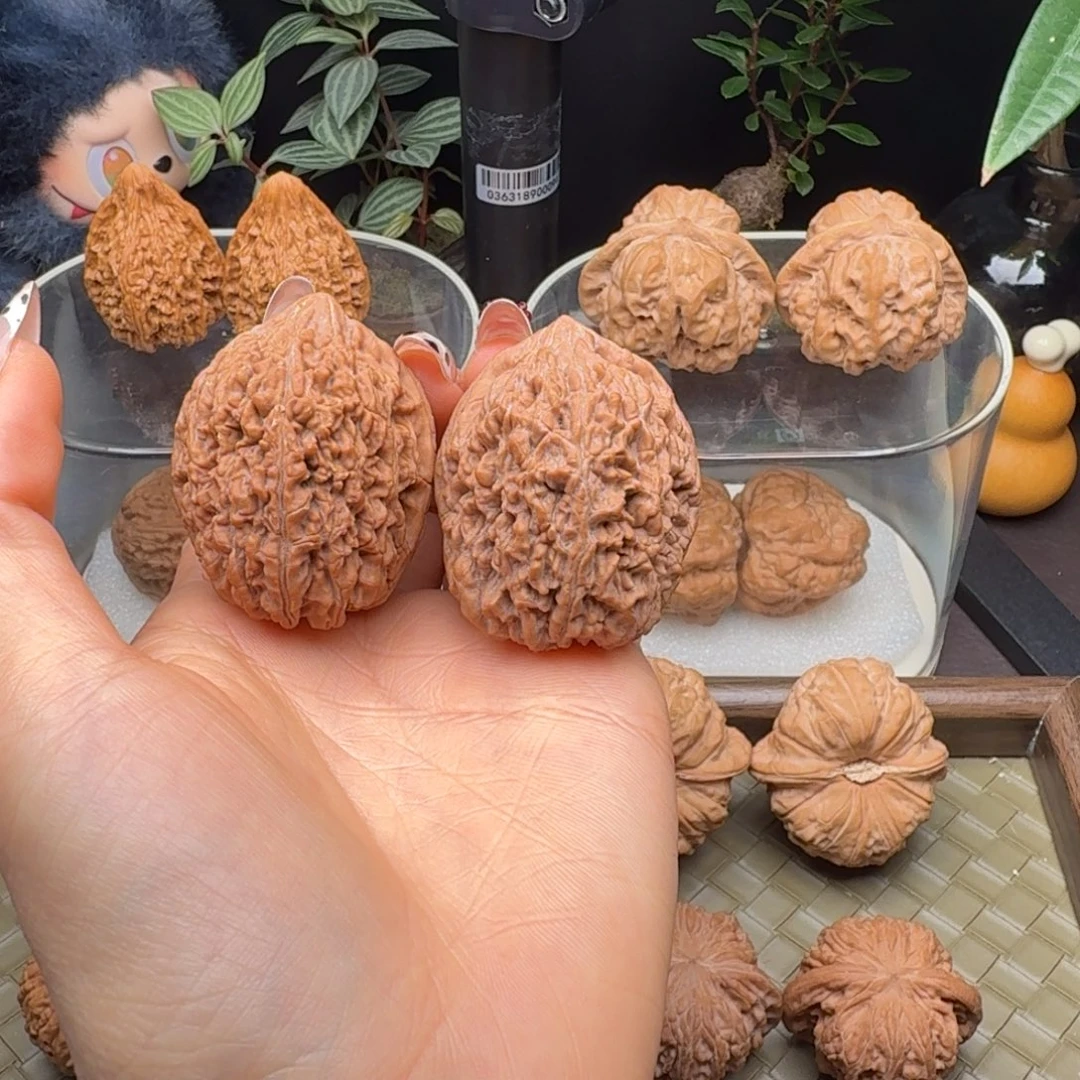 龙脊菩提把件全品大蒜头37