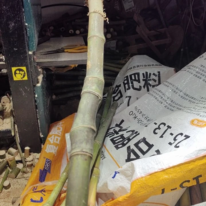 黑****烦烦烦烦烦烦烦烦烦烦烦烦