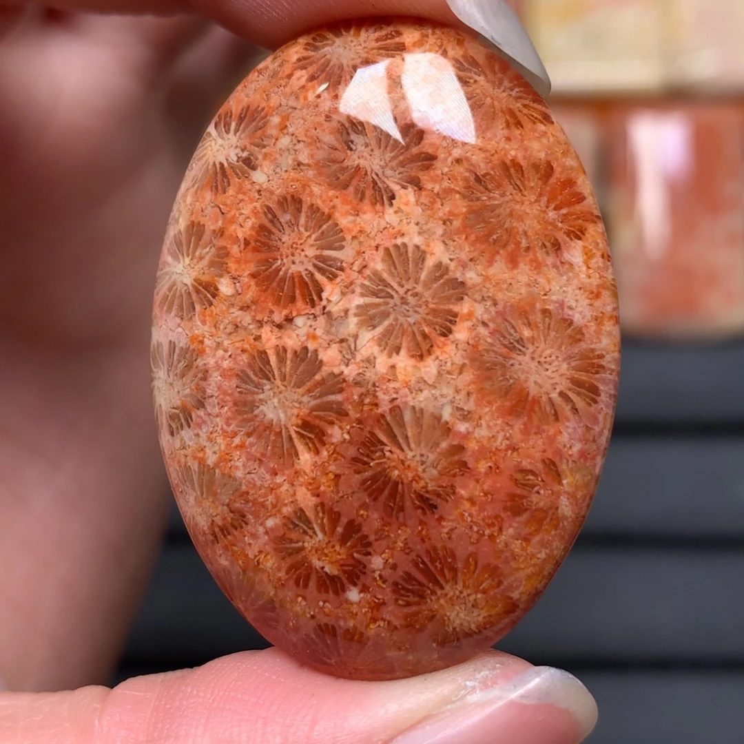 骏***马硅化玉未镶嵌吊坠无事牌手排平安扣