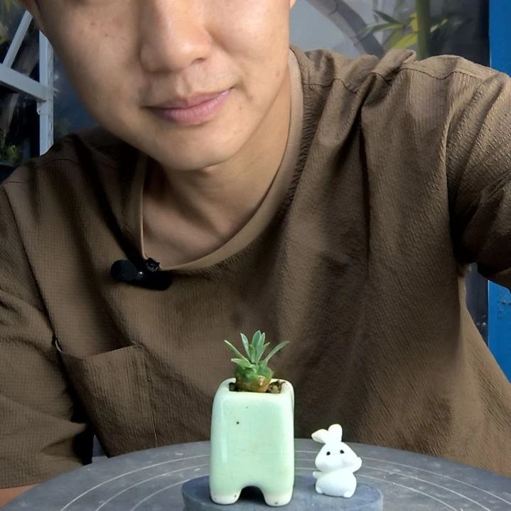 灵*中青园艺一物一拍269
