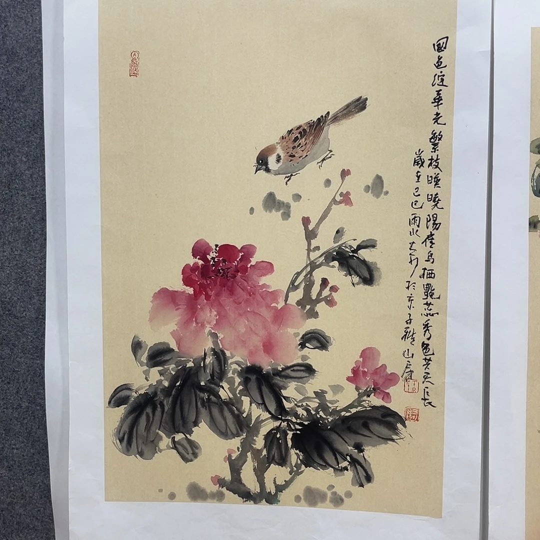 三****文姜奇老师花鸟作品