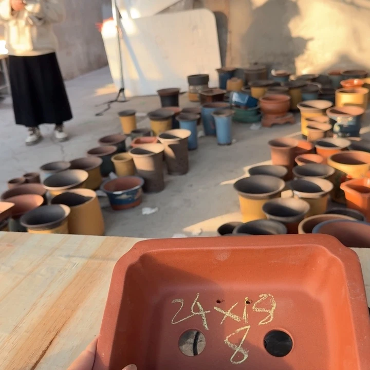 紫砂紫砂花盆xc vg