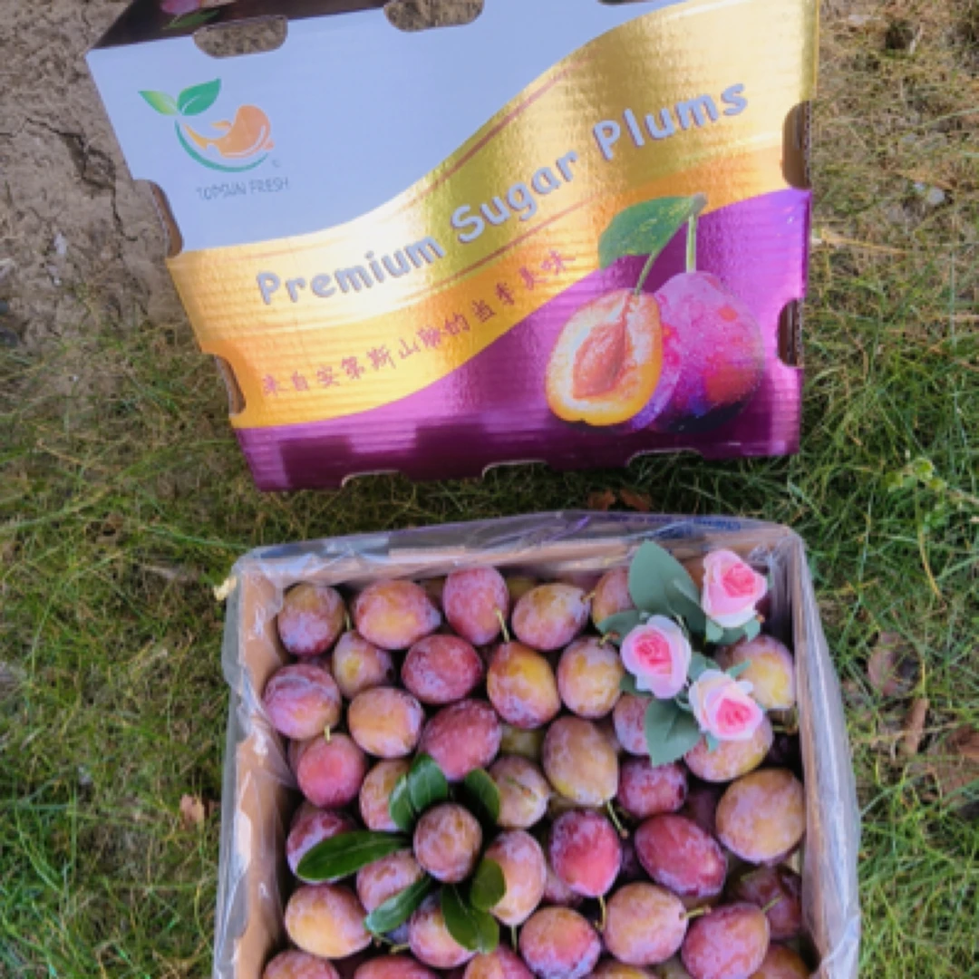 智利西梅1盒5斤装