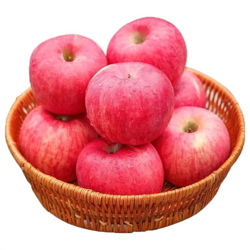 三宝爸甄选正宗陕西洛川冰糖心脆甜苹果