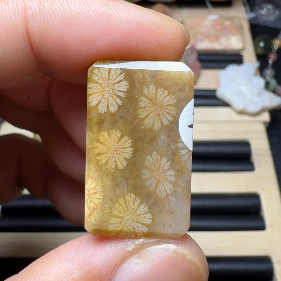 未镶嵌纯天然色有机玉石保真色硅化玉