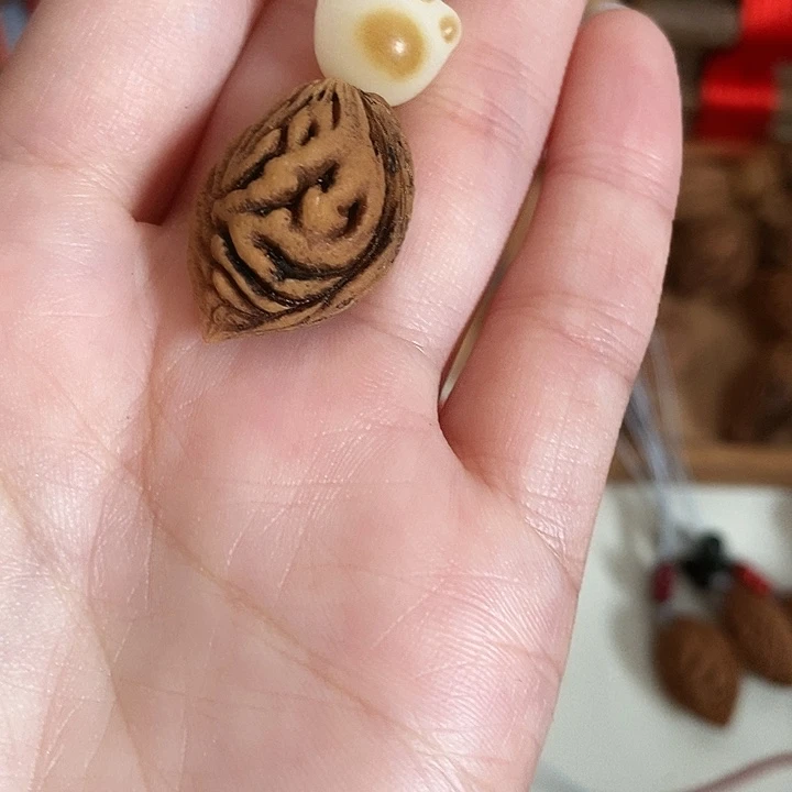 花****木质非金属桃枭野生小桃核正月采摘