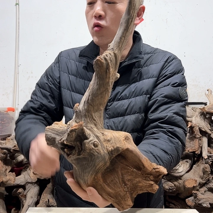 柏木盯*喵我们的生活是以自己
