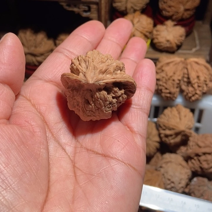 善***慧核桃蛇头尺寸39有雹眼