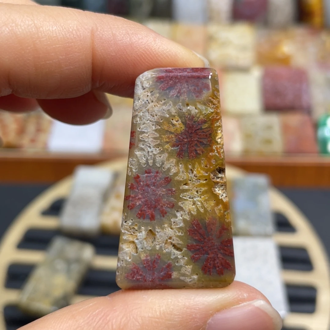 硅化玉未镶嵌颈饰k5