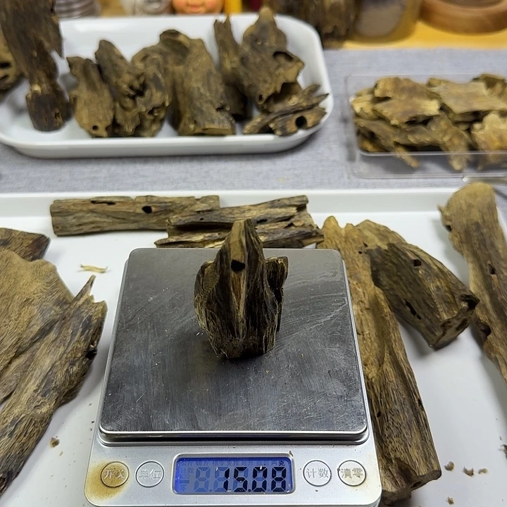 香料乌身圆叶虫漏香15克