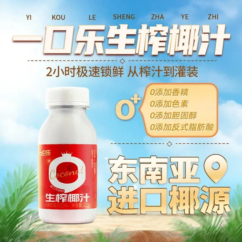 禅宝一口乐椰子汁生榨东南亚风味246g*10瓶整箱植物蛋白饮料夏日