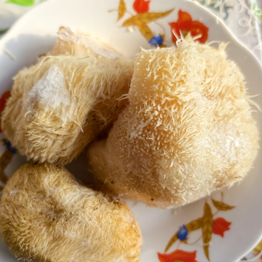 野生鲜猴头   初级农产品