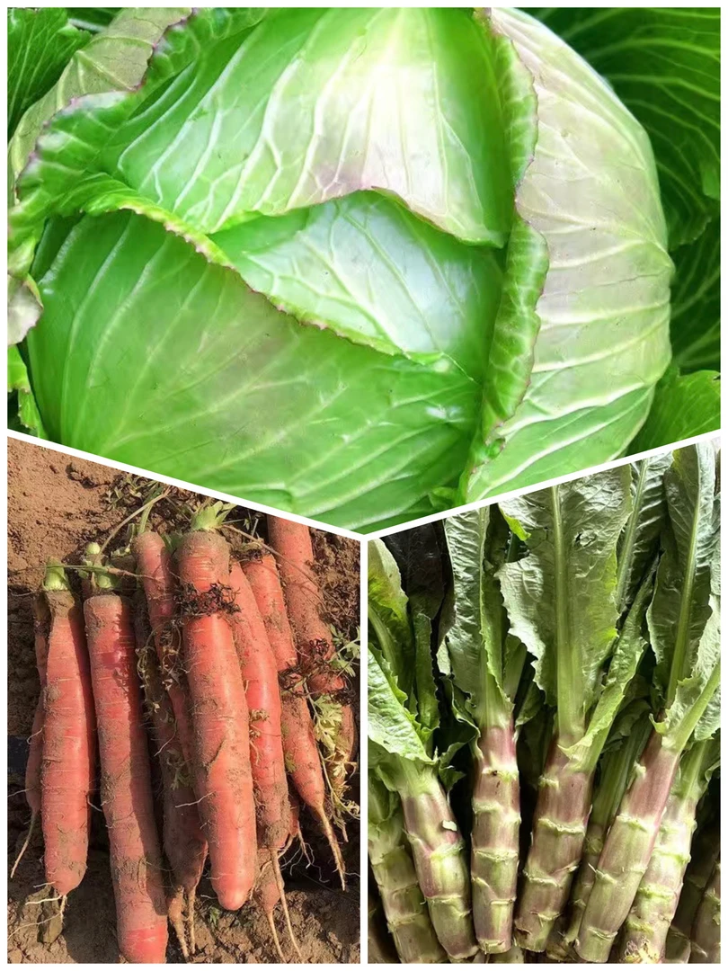 四川农家自种乡户蔬菜组合