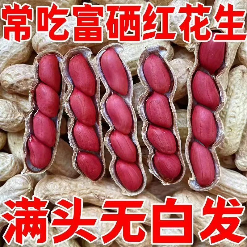 农家当年鲜花生四粒红花生红皮鲜花生批发