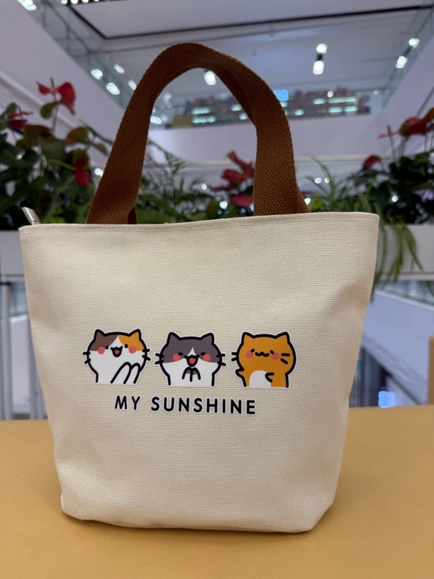 手拎小包可爱百搭外出上班帆布包通勤饭盒便当包高颜值手提帆布包